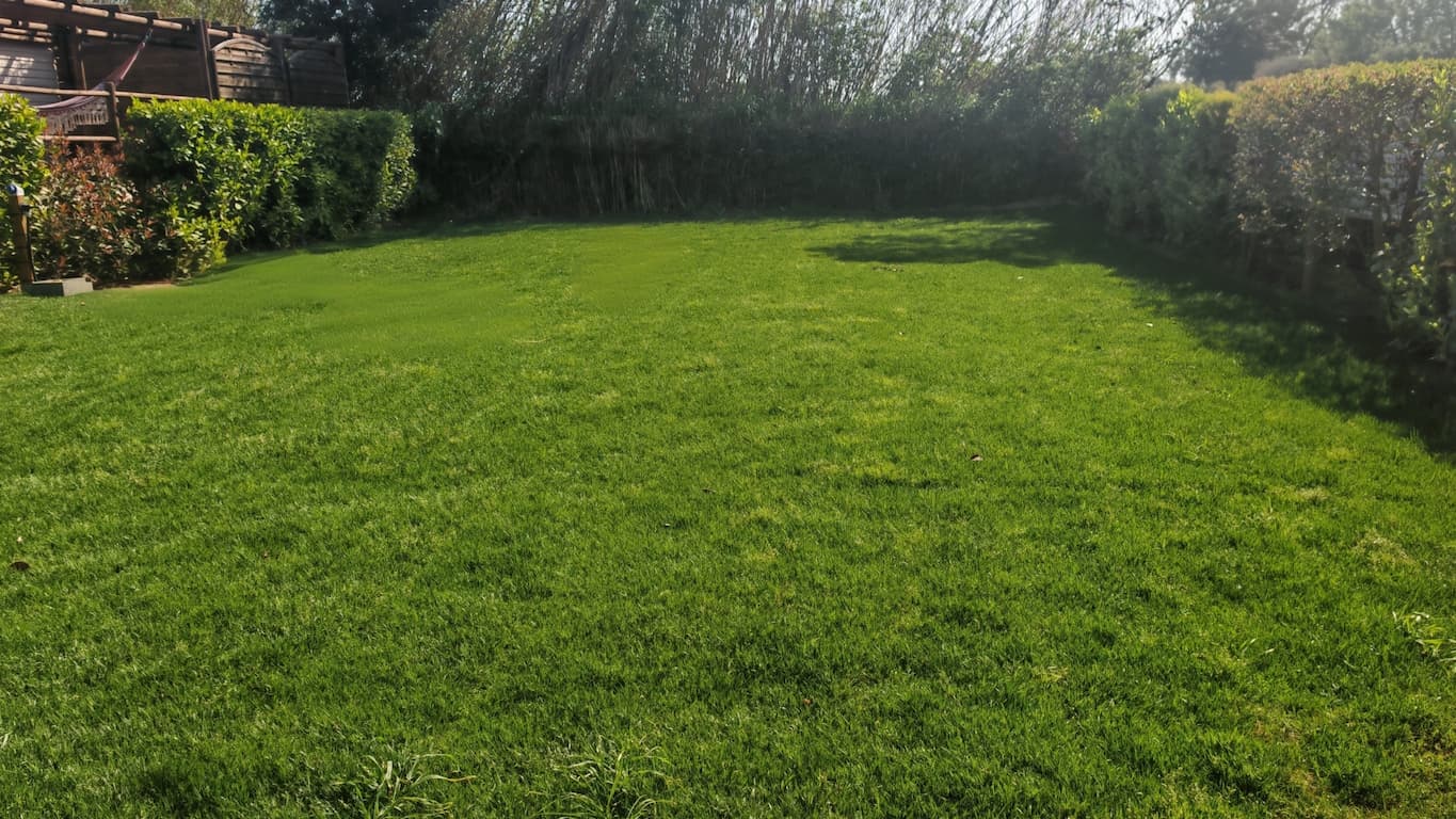 Emplacement nu Camping Les Manades